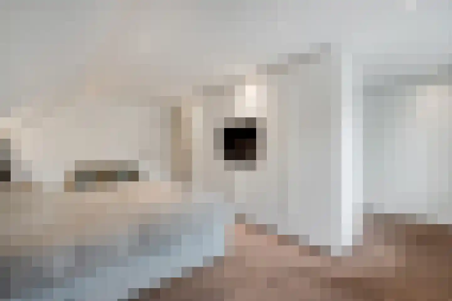 Zwanenbeemd 6 Helmond thumbnail 38