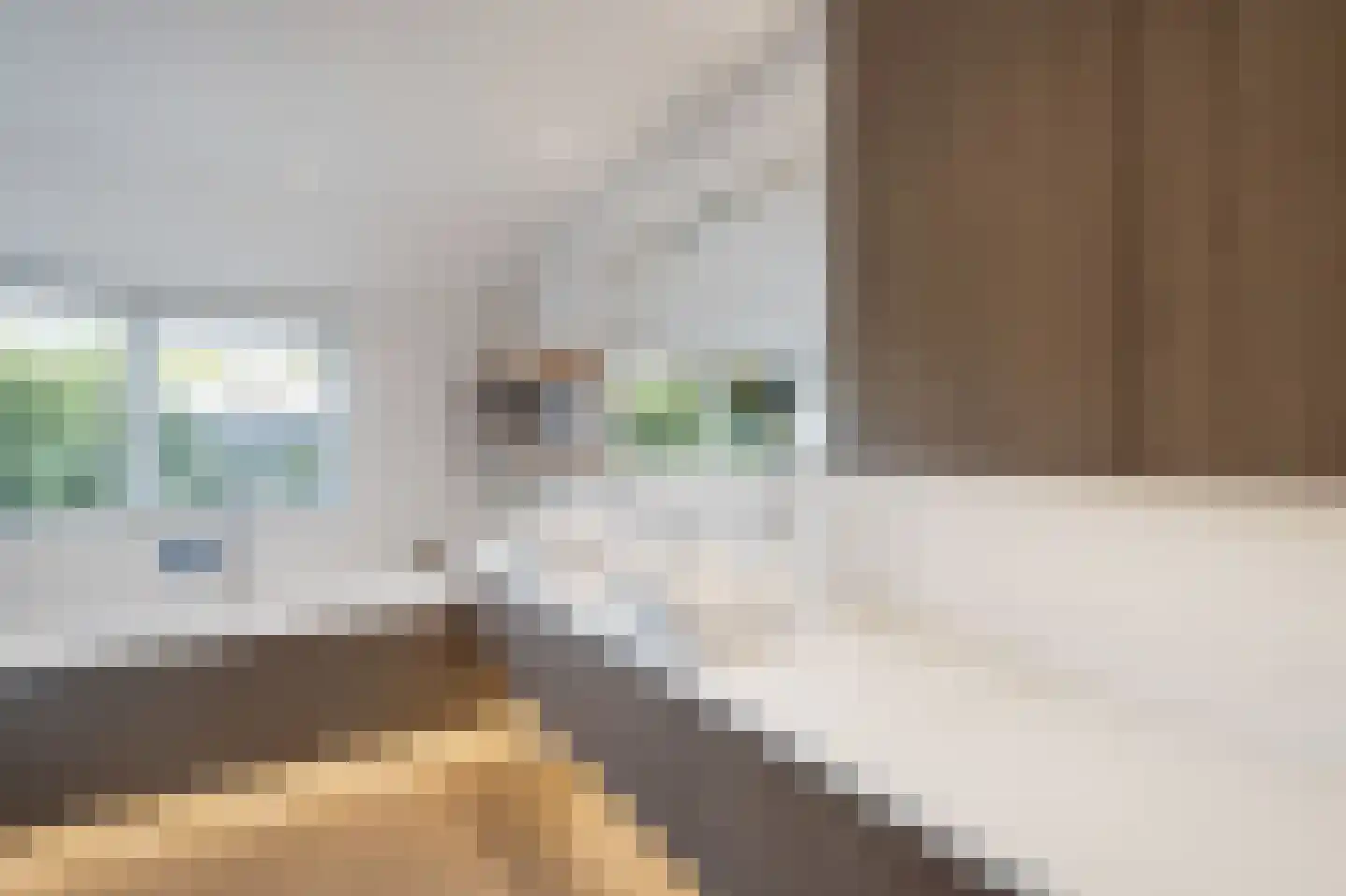 Zwanenbeemd 6 Helmond thumbnail 39