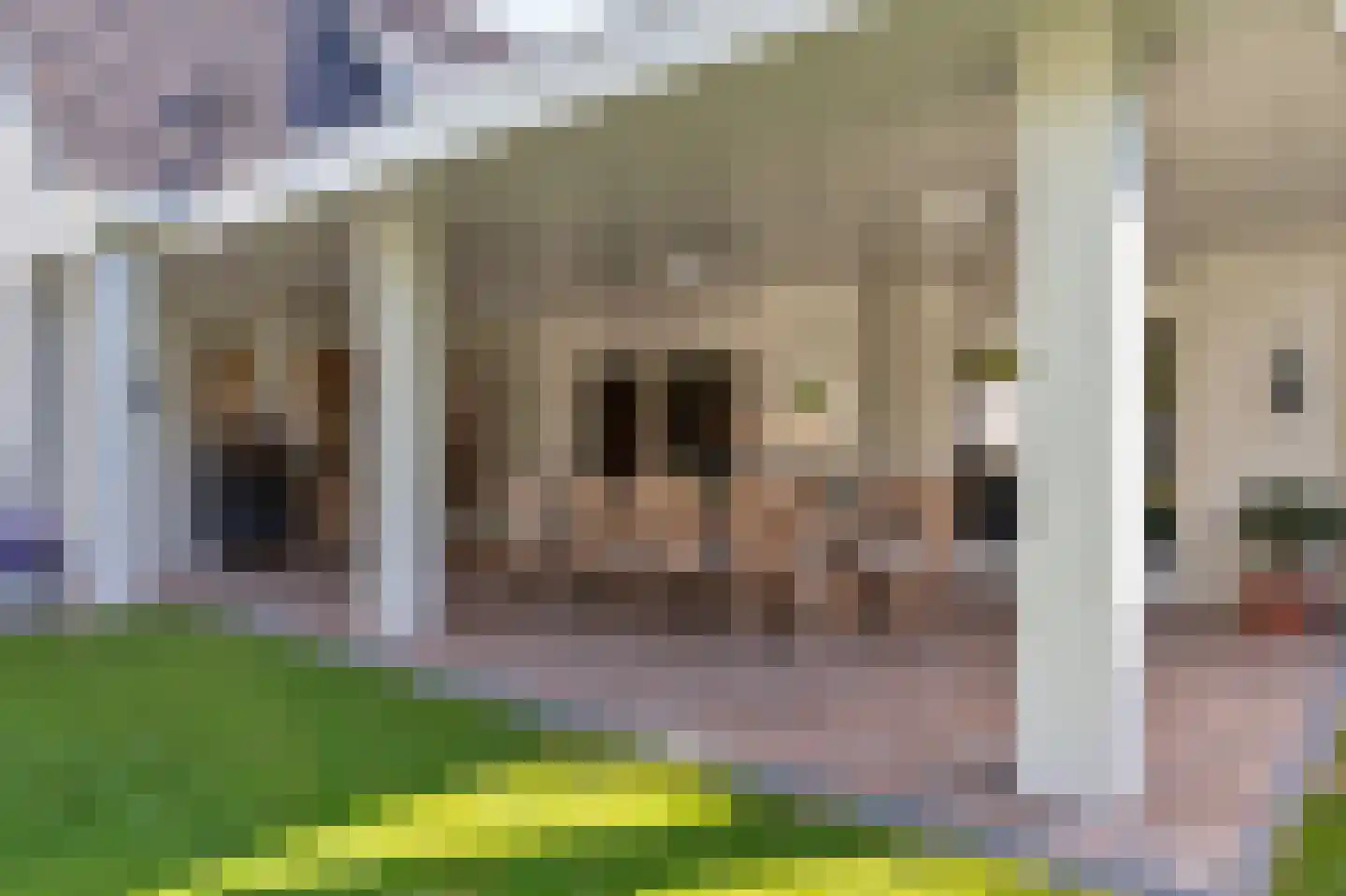 Zwanenbeemd 6 Helmond thumbnail 44