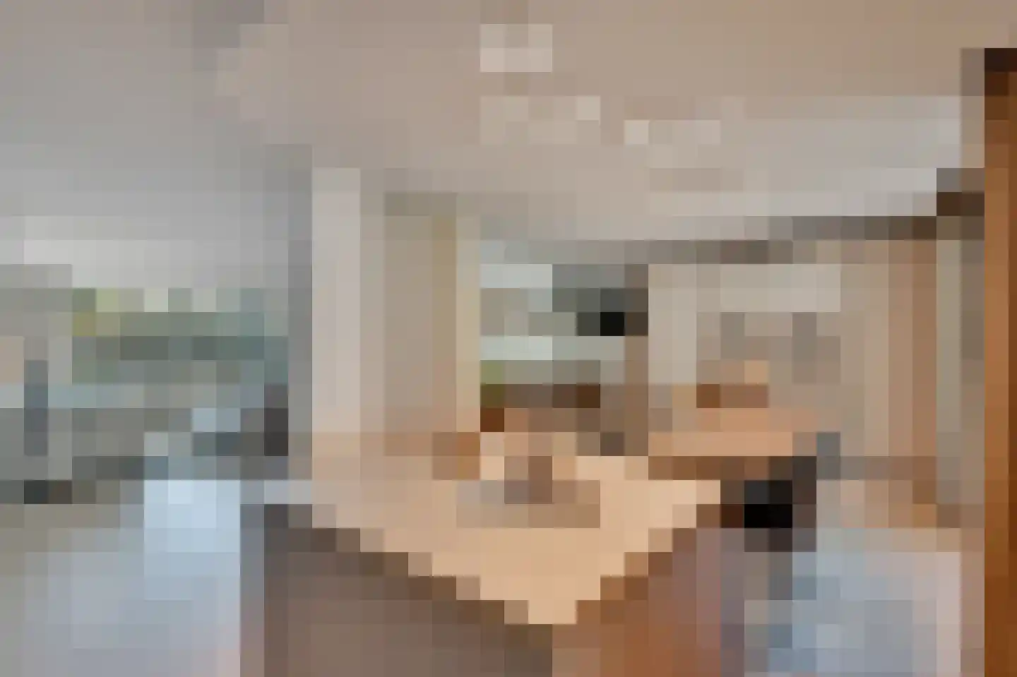 Zwanenbeemd 6 Helmond thumbnail 5