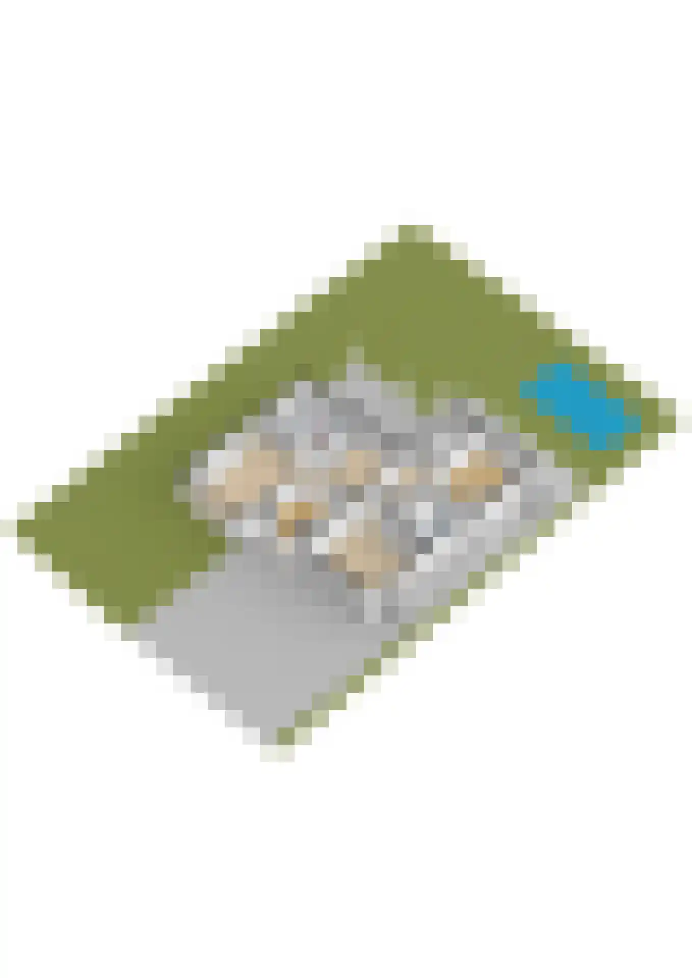 Zwanenbeemd 6 Helmond thumbnail 61