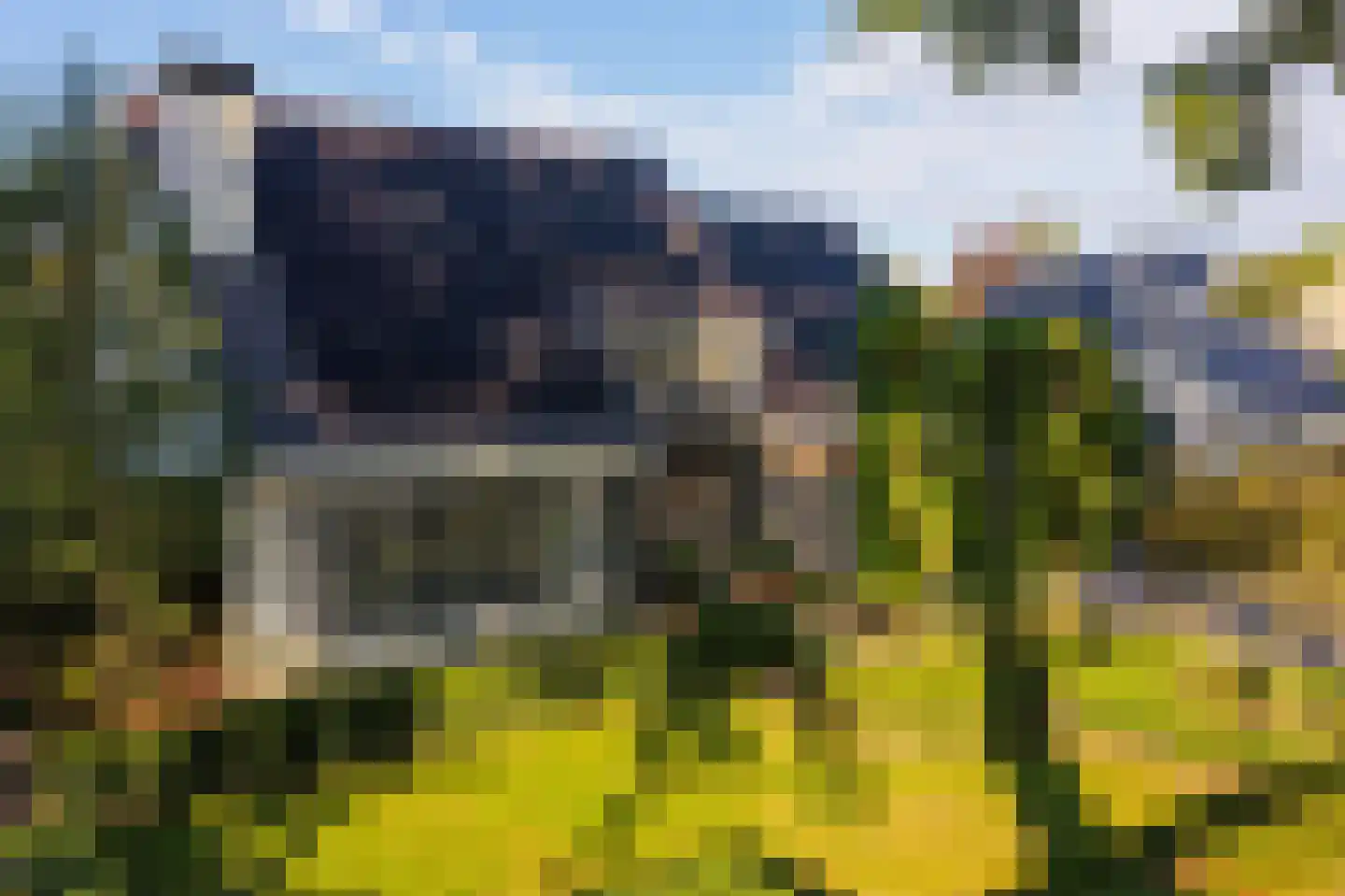 Zwanenbeemd 6 Helmond thumbnail 8
