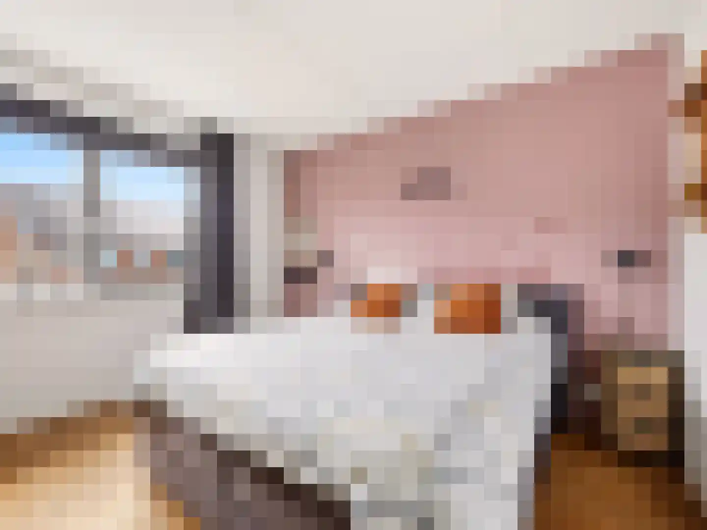 Zwanenbloem 10 Brummen thumbnail 13