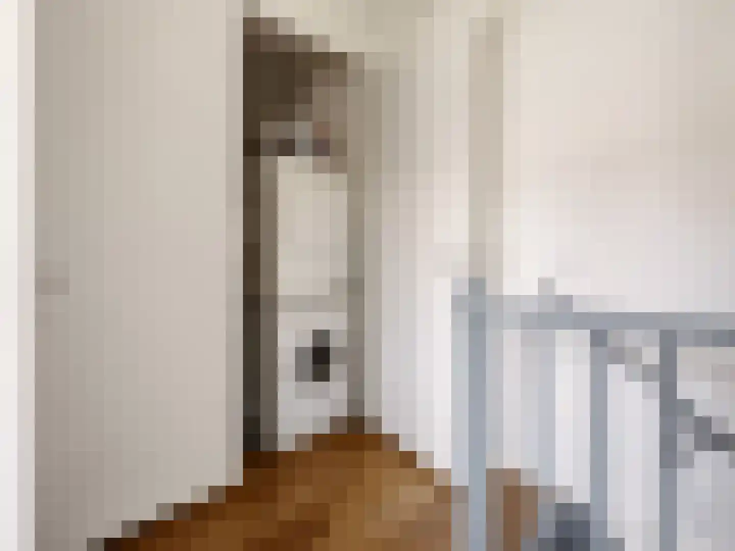 Zwanenbloem 10 Brummen thumbnail 18