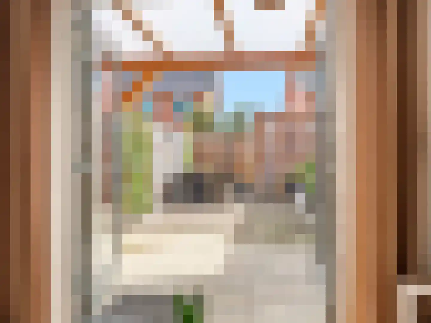 Zwanenbloem 10 Brummen thumbnail 20