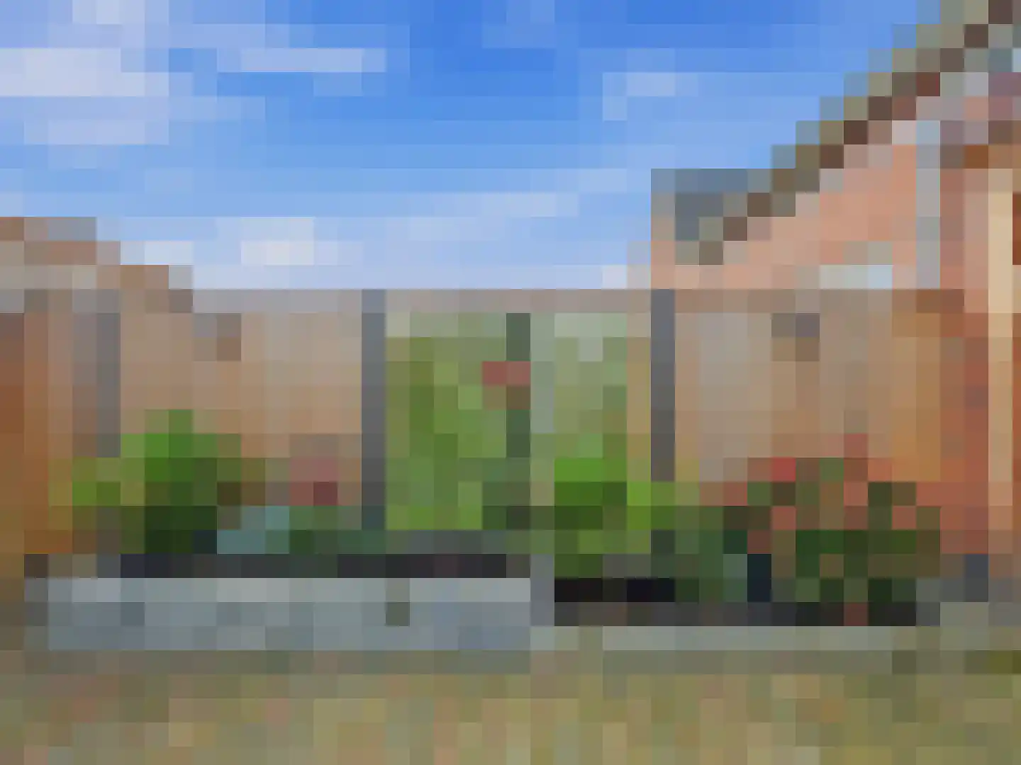 Zwanenbloem 10 Brummen thumbnail 23