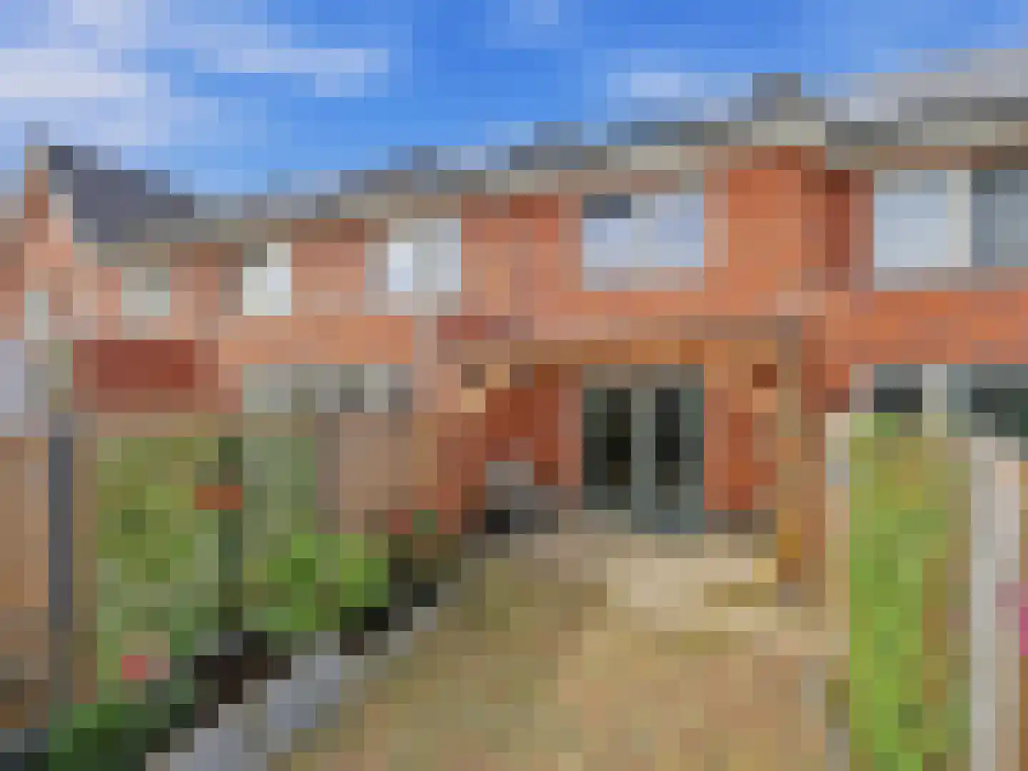 Zwanenbloem 10 Brummen thumbnail 26