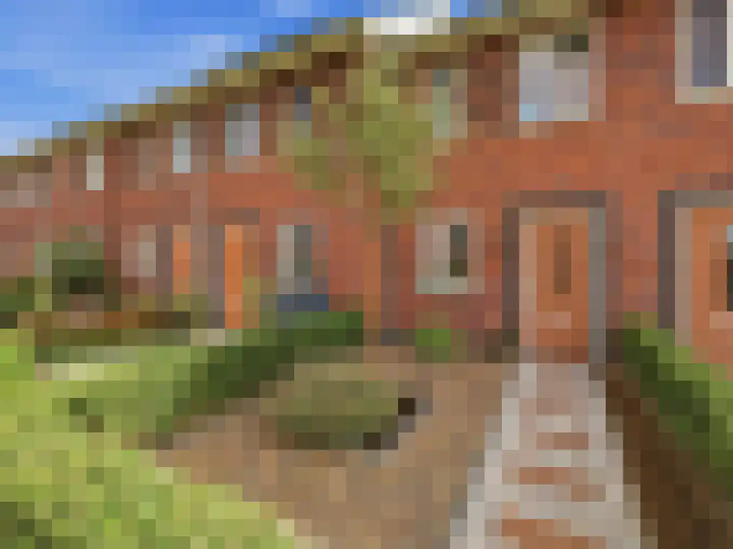 Zwanenbloem 10 Brummen thumbnail 27
