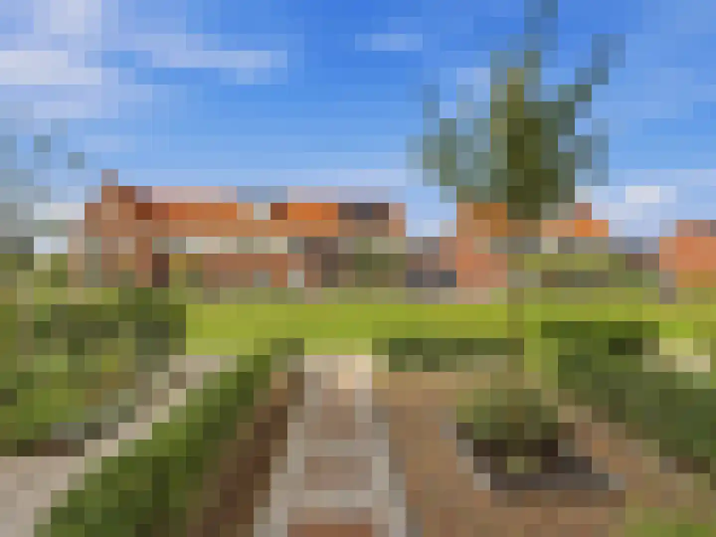 Zwanenbloem 10 Brummen thumbnail 28