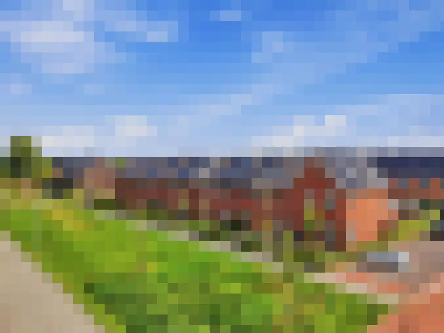 Zwanenbloem 10 Brummen thumbnail 29