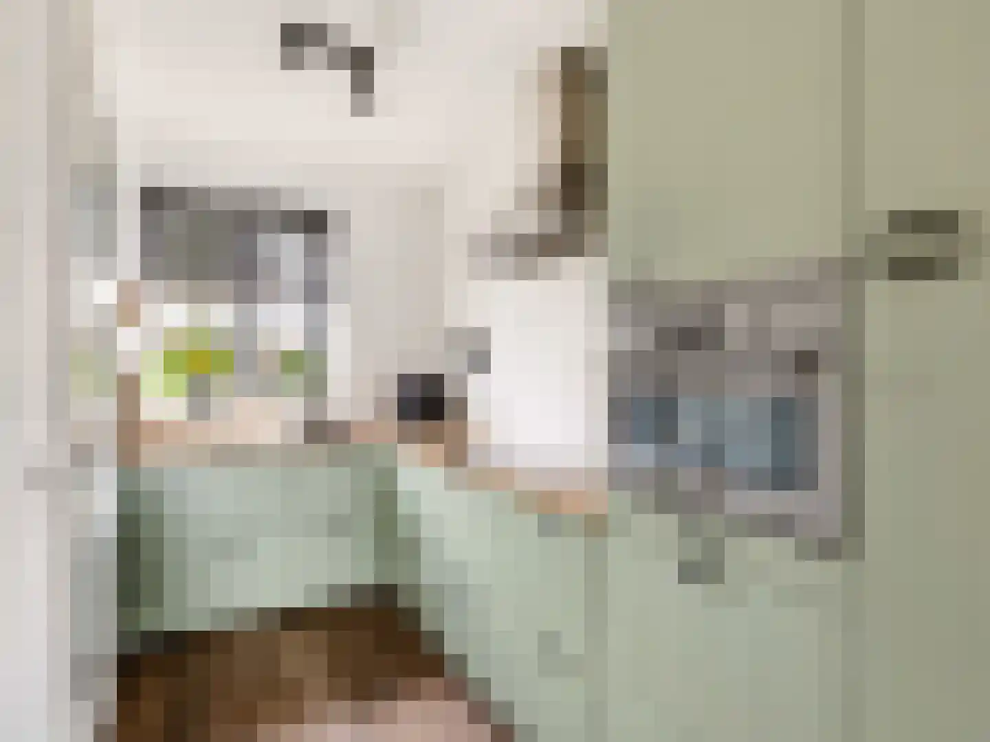 Zwanenbloem 10 Brummen thumbnail 5