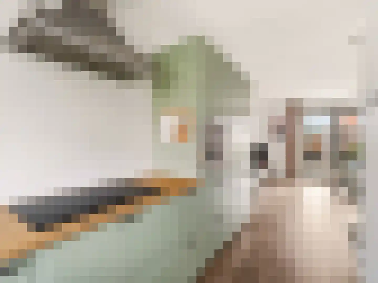 Zwanenbloem 10 Brummen thumbnail 9