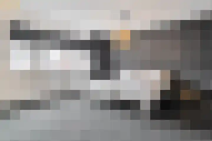 Zwanenbloem 16 Meppel thumbnail 20