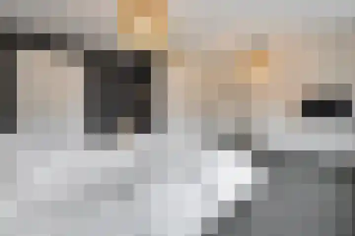Zwanenbloem 16 Meppel thumbnail 21