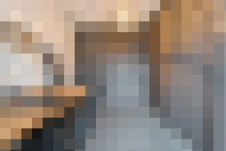 Zwanenbloem 16 Meppel thumbnail 22
