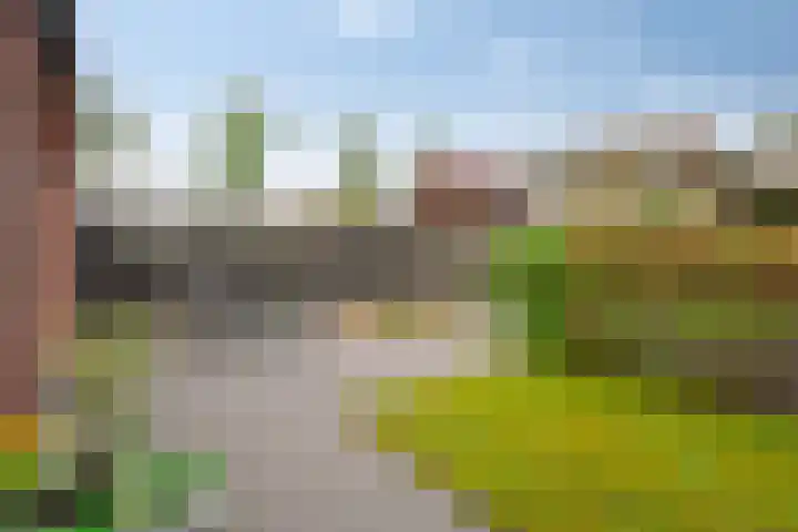 Zwanenbloem 16 Meppel thumbnail 29