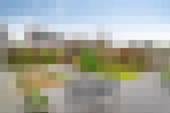 Zwanenbloem 16 Meppel thumbnail 30