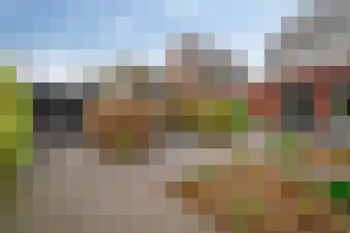 Zwanenbloem 16 Meppel thumbnail 31