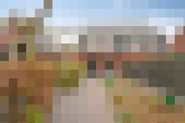 Zwanenbloem 16 Meppel thumbnail 33