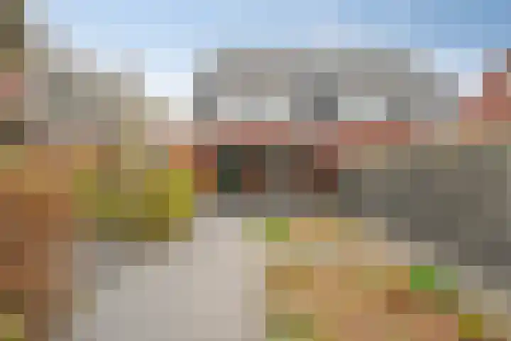 Zwanenbloem 16 Meppel thumbnail 34