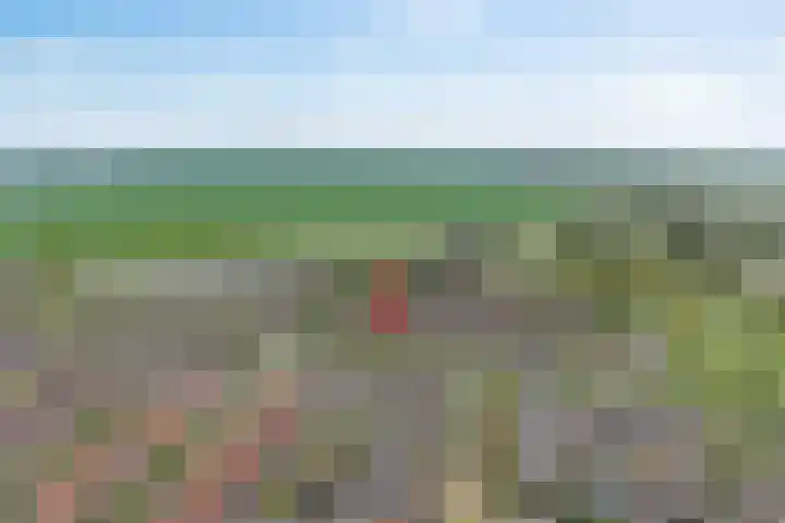 Zwanenbloem 16 Meppel thumbnail 4