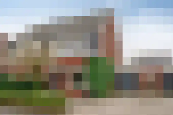 Zwanenbloem 16 Meppel thumbnail 44