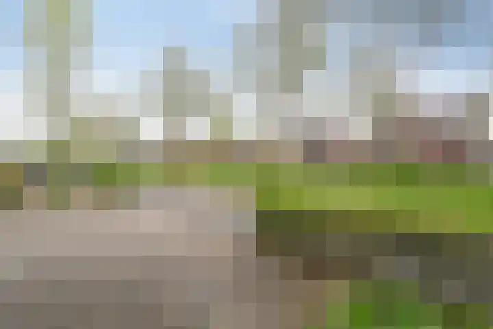 Zwanenbloem 16 Meppel thumbnail 6