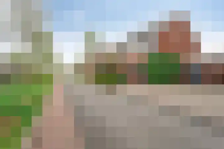 Zwanenbloem 16 Meppel thumbnail 7