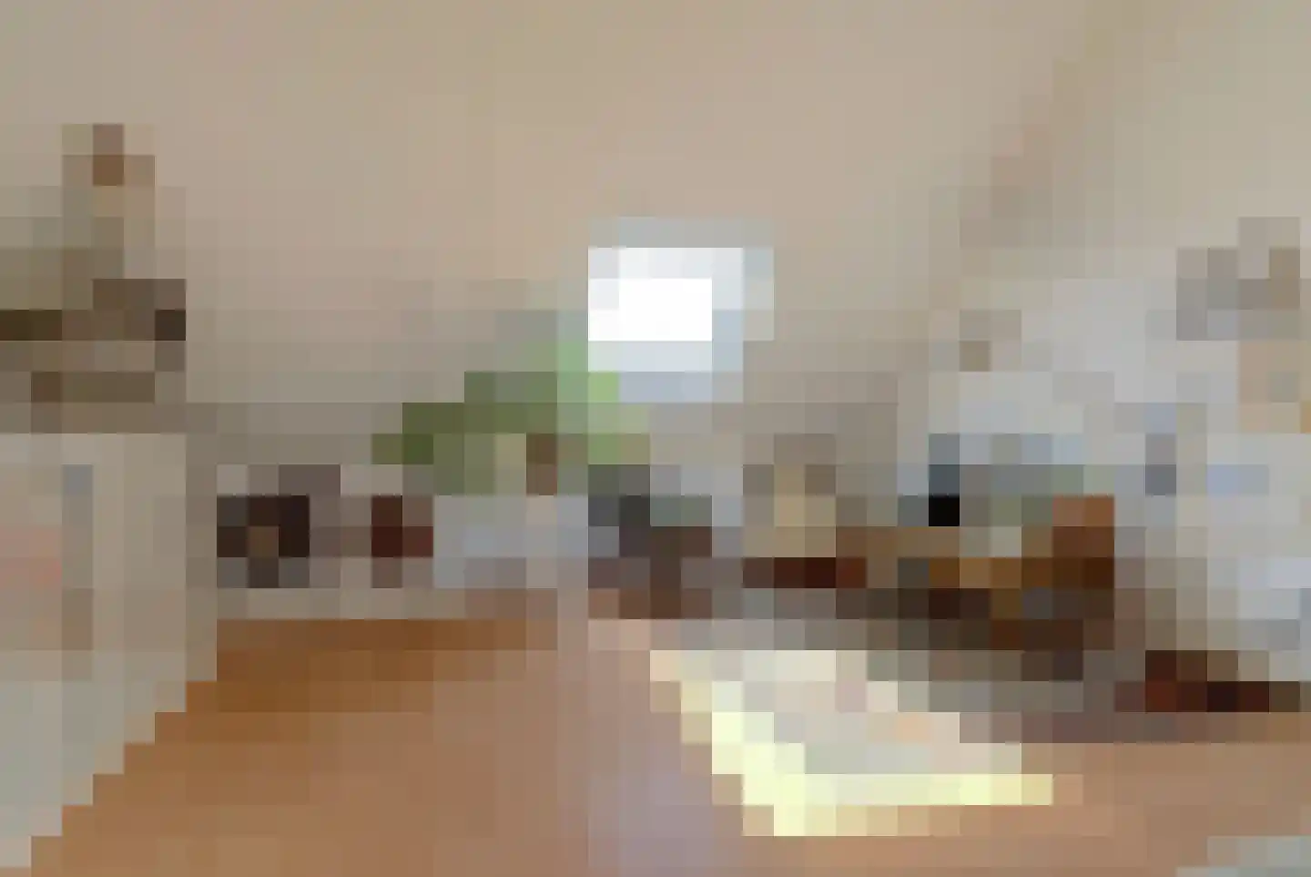 Zwanenbloem 21 Elst thumbnail 22