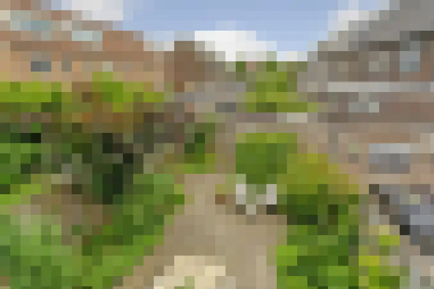 Zwanenbloem 21 Elst thumbnail 25