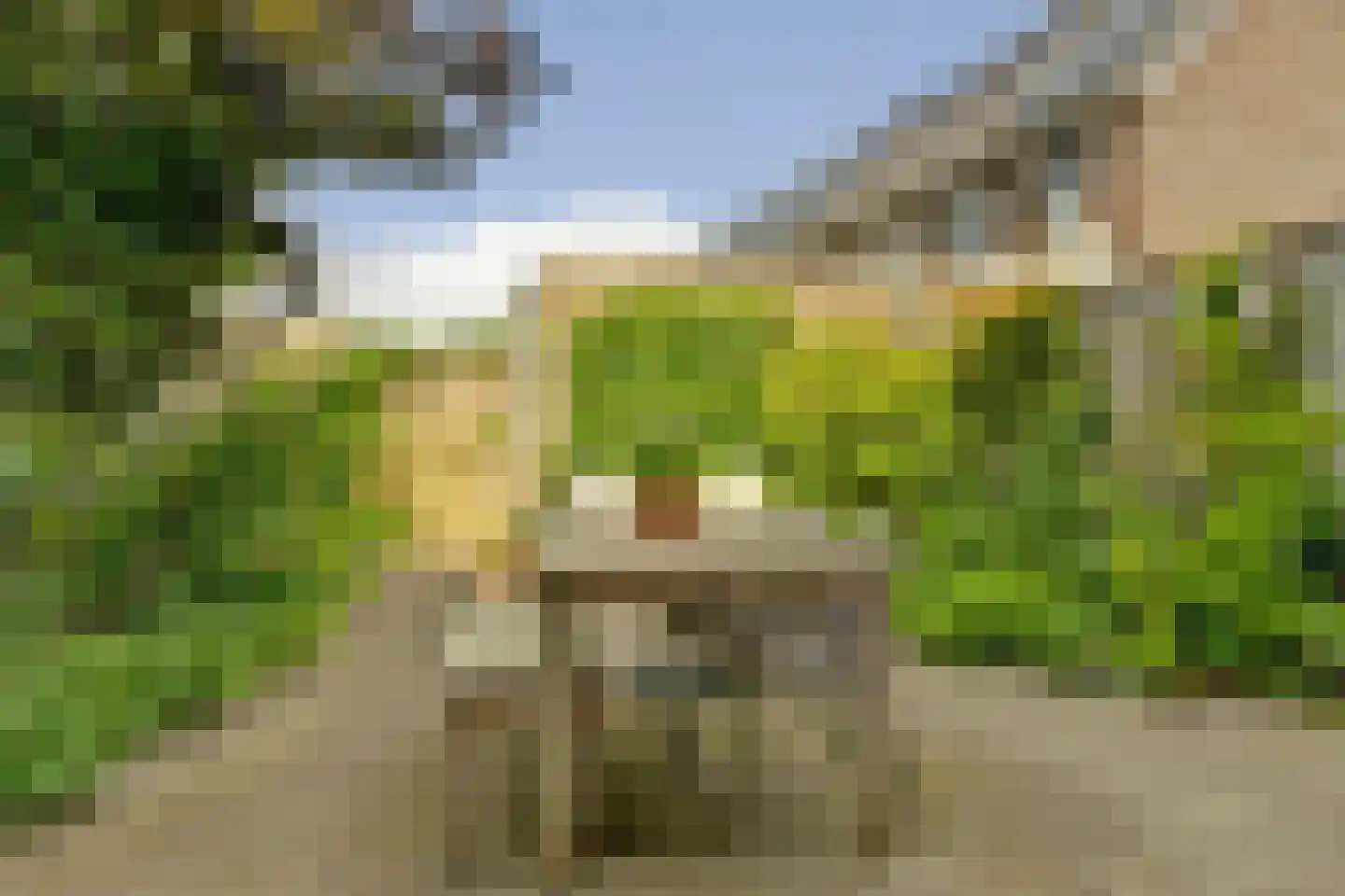 Zwanenbloem 21 Elst thumbnail 28