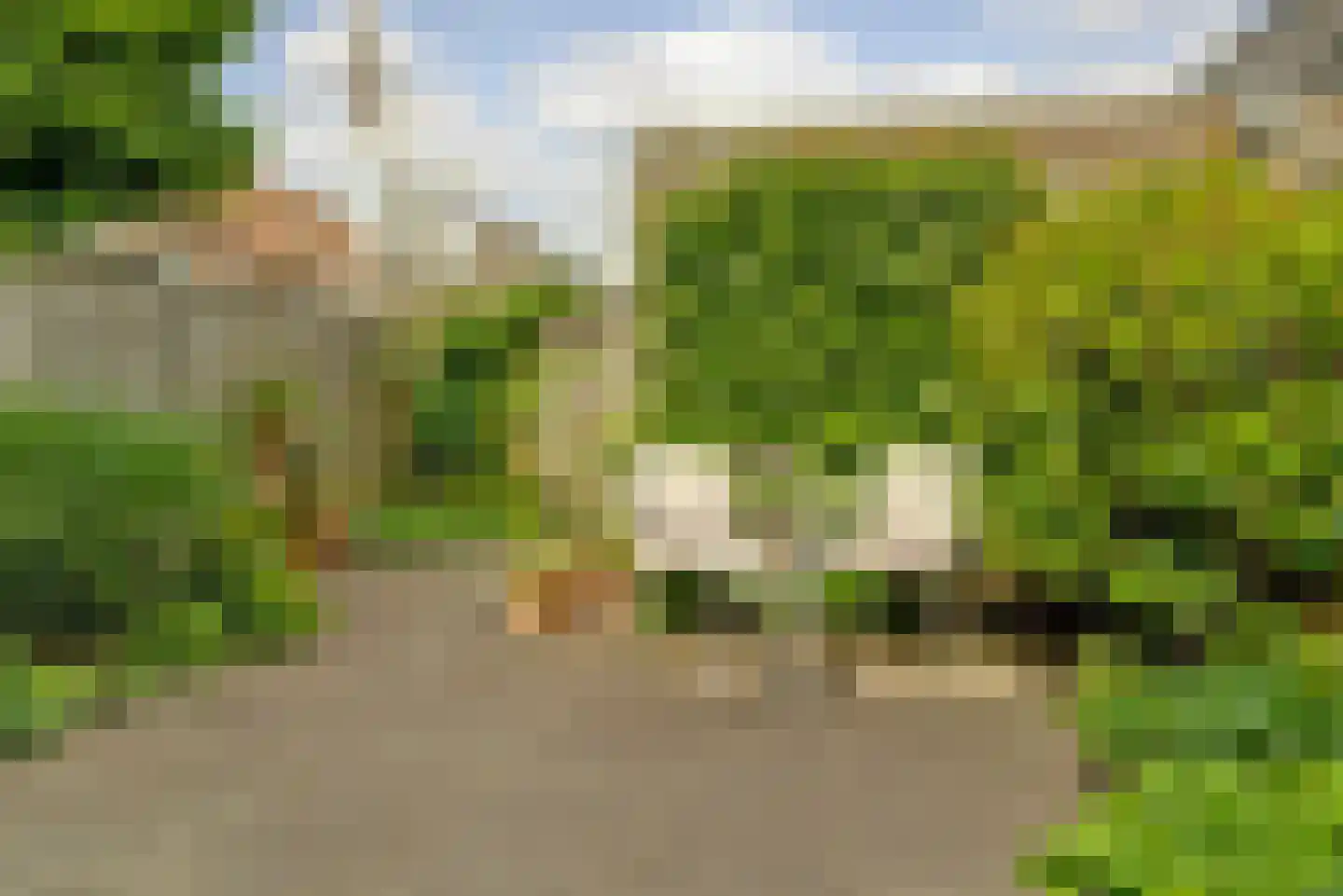 Zwanenbloem 21 Elst thumbnail 29