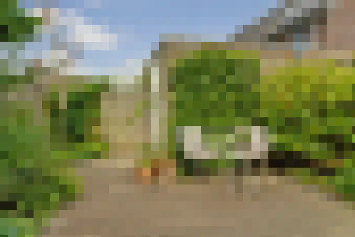 Zwanenbloem 21 Elst thumbnail 30