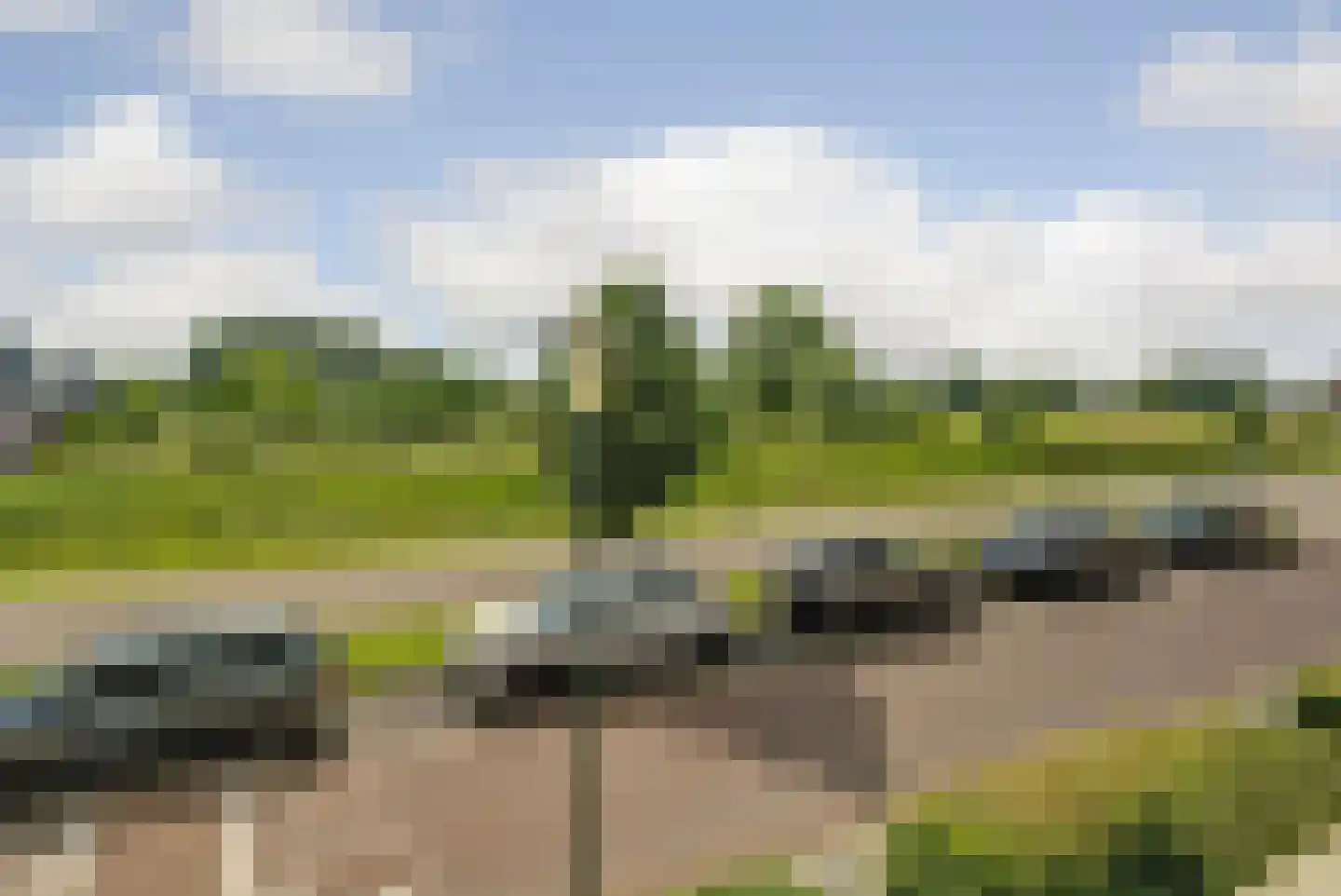 Zwanenbloem 21 Elst thumbnail 34