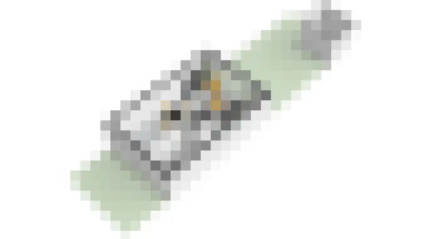 Zwanenbloem 21 Elst thumbnail 36