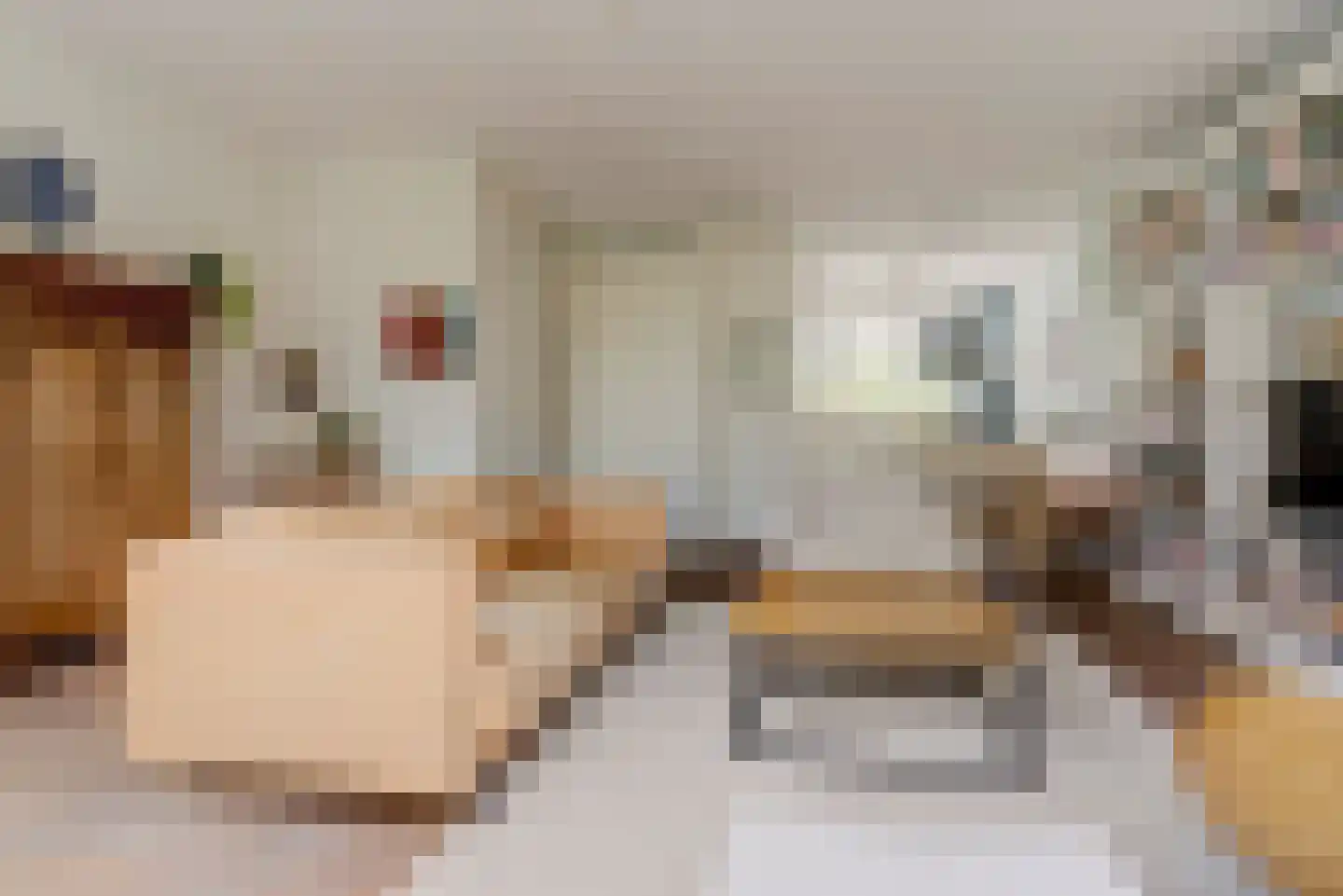 Zwanenbloem 21 Elst thumbnail 4