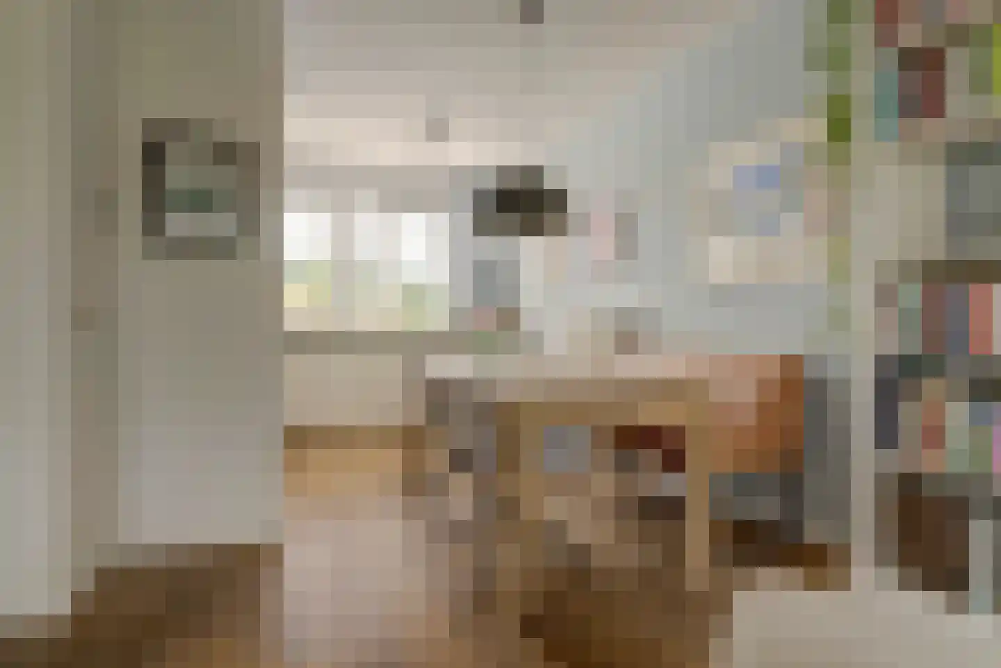 Zwanenbloem 21 Elst thumbnail 6