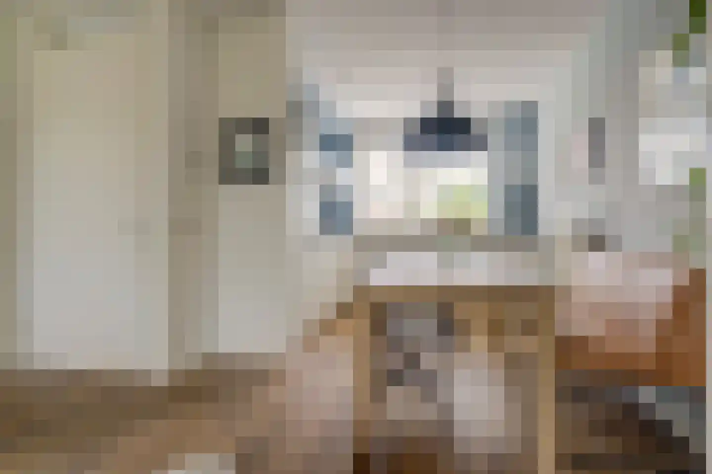 Zwanenbloem 21 Elst thumbnail 7