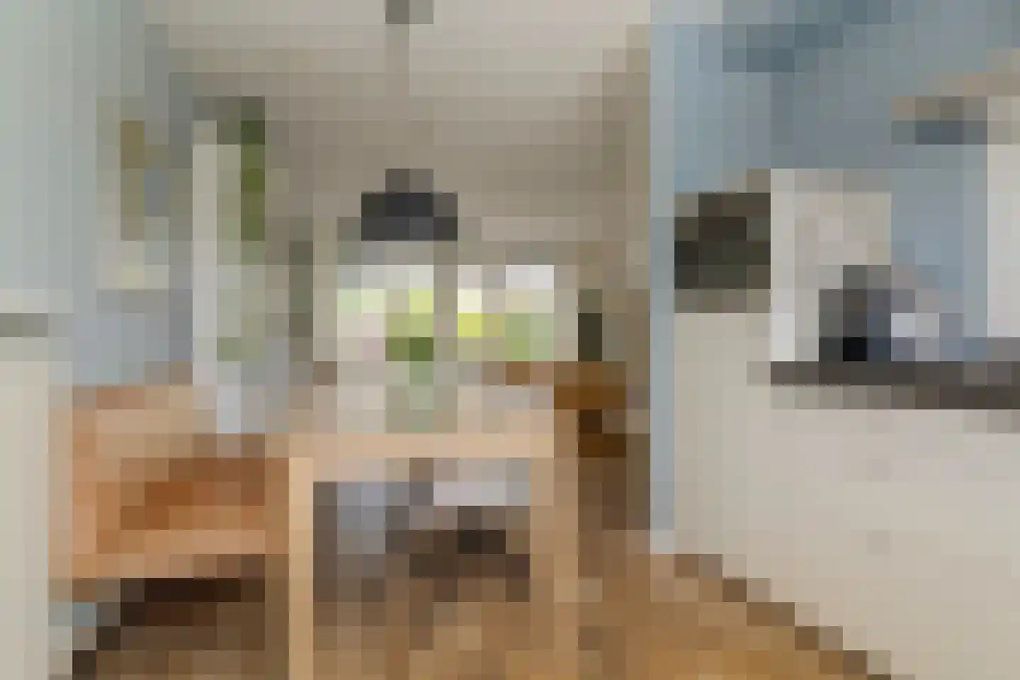 Zwanenbloem 21 Elst thumbnail 8