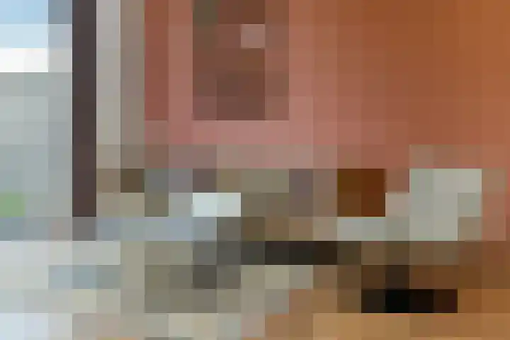 Zwanenbloem 25 Elst thumbnail 11