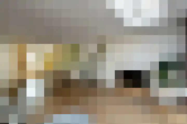 Zwanenbloem 25 Elst thumbnail 12