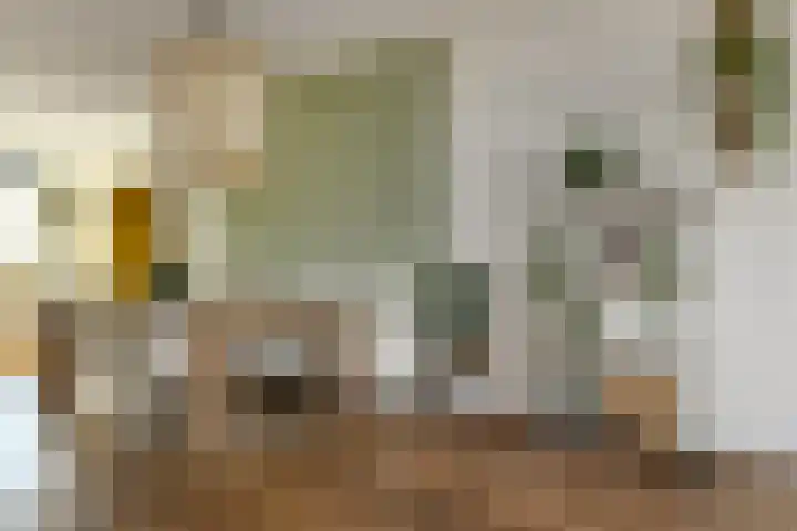 Zwanenbloem 25 Elst thumbnail 14