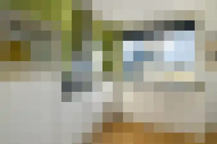 Zwanenbloem 25 Elst thumbnail 16