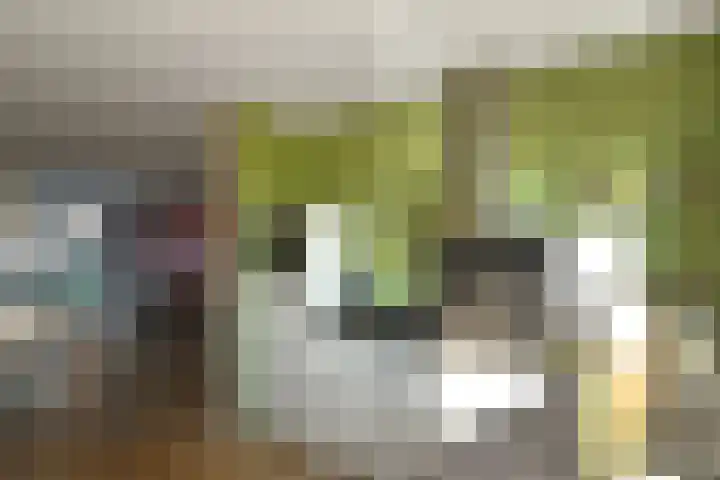 Zwanenbloem 25 Elst thumbnail 19
