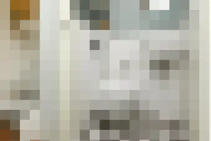 Zwanenbloem 25 Elst thumbnail 20