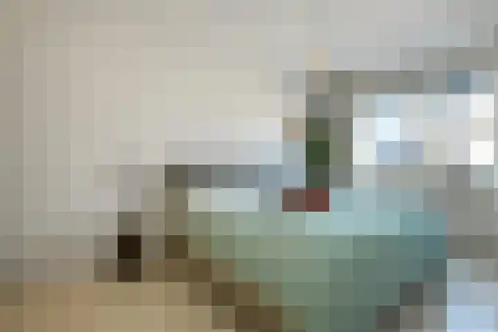 Zwanenbloem 25 Elst thumbnail 22