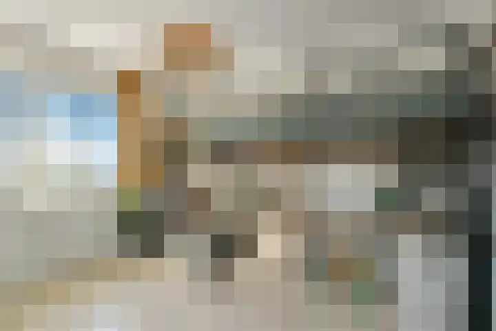 Zwanenbloem 25 Elst thumbnail 26