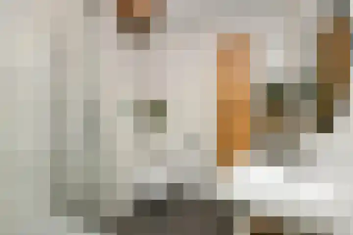 Zwanenbloem 25 Elst thumbnail 27