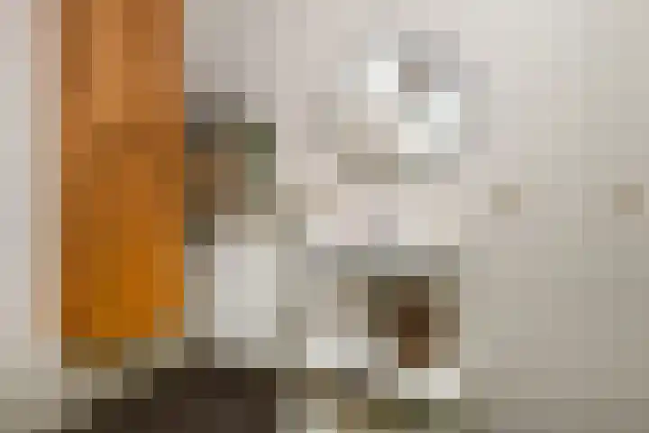 Zwanenbloem 25 Elst thumbnail 28
