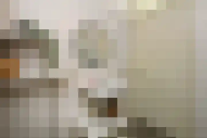 Zwanenbloem 25 Elst thumbnail 31